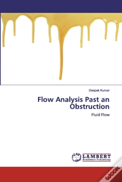 Capa do artigo Flow Analysis Past An Obstruction