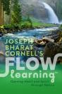 Flow Learning - Preview