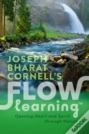 Capa do artigo Flow Learning