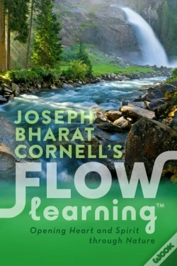 Capa do artigo Flow Learning