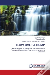 Capa do artigo Flow Over A Hump