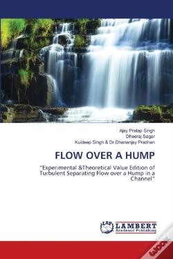 Capa do artigo Flow Over A Hump