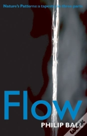 Capa do artigo Flow