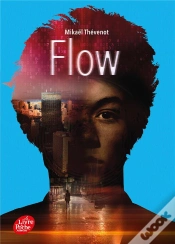 Capa do artigo Flow T.2