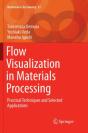 Flow Visualization In Materials Processing - Preview