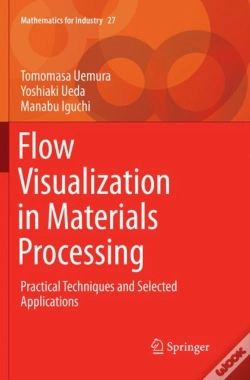 Capa do artigo Flow Visualization In Materials Processing
