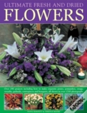 Capa do artigo Flower Arranging