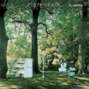 Capa do artigo Flower - CD