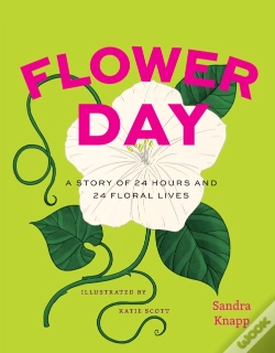 Capa do artigo Flower Day