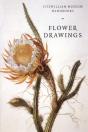 Flower Drawings - Preview