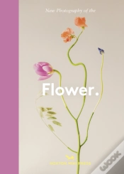 Capa do artigo Flower.