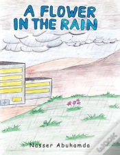 Capa do artigo Flower In The Rain