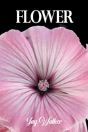 Flower - Preview