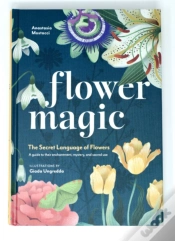Capa do artigo Flower Magic
