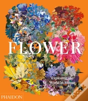 Capa do artigo Flower