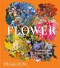 Flower - Preview