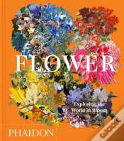 Capa do artigo Flower
