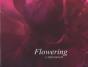 Flowering - Preview