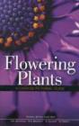 Flowering Plants A Concise Pictorial Guide - Preview
