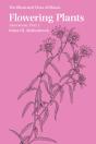Flowering Plants: Asteraceae, Part 2 - Preview