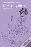 Flowering Plants: Asteraceae