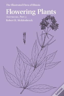 Capa do artigo Flowering Plants: Asteraceae