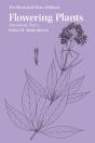 Flowering Plants: Asteraceae - Preview