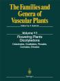 Flowering Plants. Dicotyledons - Preview