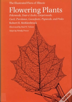 Capa do artigo Flowering Plants