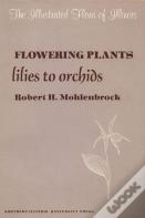 Flowering Plants