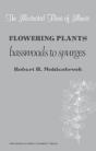Flowering Plants - Preview