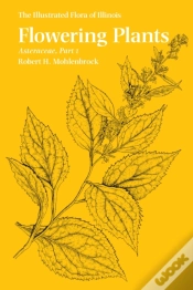 Capa do artigo Flowering Plants