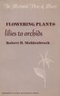 Flowering Plants - Preview