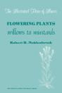 Flowering Plants - Preview
