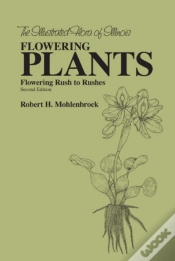 Capa do artigo Flowering Plants