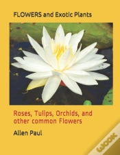 Capa do artigo Flowers And Exotic Plants