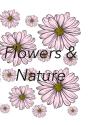Flowers And Nature - Preview
