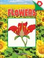 Flowers - Preview