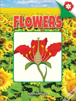 Capa do artigo Flowers