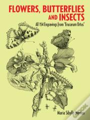 Flowers, Butterflies And Insects