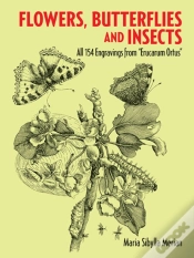 Capa do artigo Flowers, Butterflies And Insects