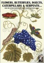Flowers, Butterflies, Insects, Caterpillars & Serpents...