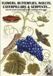 Capa do artigo Flowers, Butterflies, Insects, Caterpillars & Serpents...