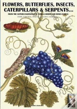 Capa do artigo Flowers, Butterflies, Insects, Caterpillars & Serpents...