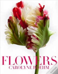Capa do artigo Flowers