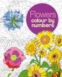 Flowers Colour By Numbers - Preview
