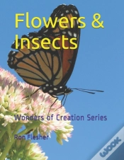 Capa do artigo Flowers & Insects