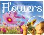 Flowers - Preview