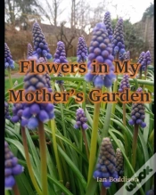 Capa do artigo Flowers In My Mother
