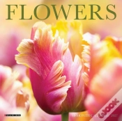 Capa do artigo Flowers Mini